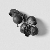 Bordan Black Plum Candle