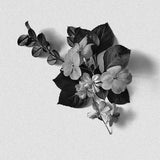 Bordan Rose Geranium Candle